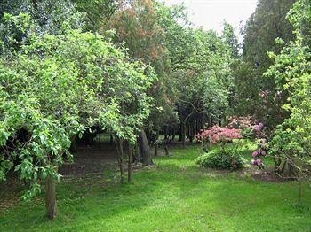 Foxwood Guest House Robin Hood Экстерьер фото